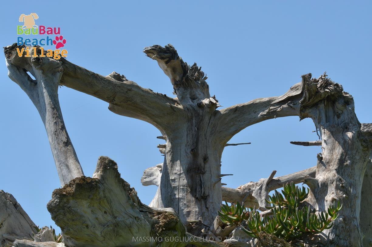 Bau Bau Beach Village Foce del Sele Luaran gambar